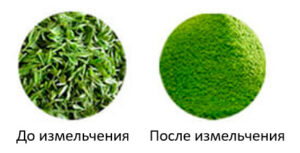 Измельчение зеленого чая